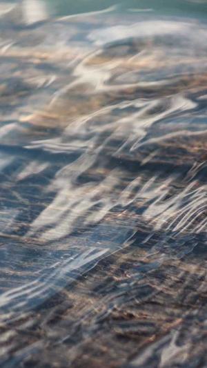 黑瓜吃料网截图4